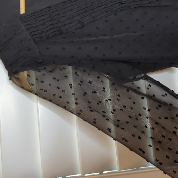 ENTRO • ANTHROPOLOGIE Sheer Mini Dress ~ NWT - Picture 5 of 11